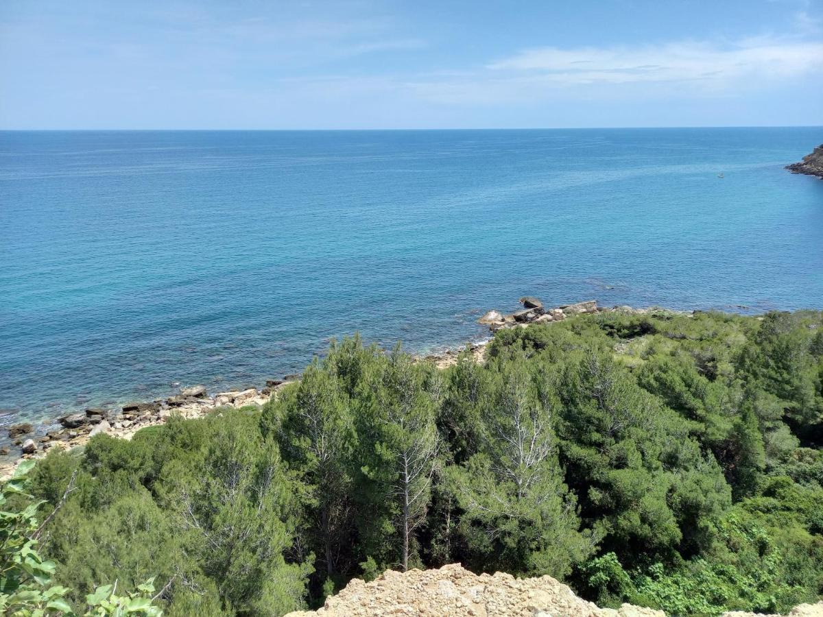 Montauriol  La Pantoufle Verte المظهر الخارجي الصورة
